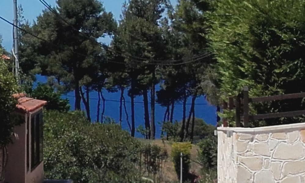 Vila Minthi Posidi Exteriér fotografie